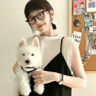 清宫气数录粤语